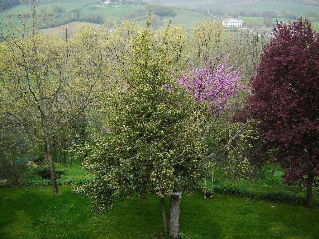 Casale Del Monsignore Spoleto Dış mekan fotoğraf